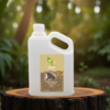 aceite esencial ishpink canela amazonica galon