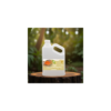 crema nutritiva con curcuma