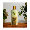 shampoo ungurahua y romero 250ml